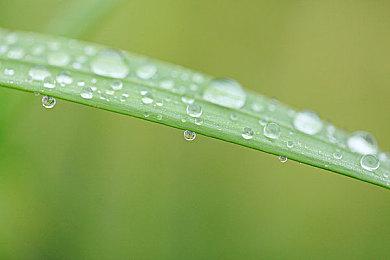 《暗黑破坏神：不朽》国服上线时间公布 6月23日全平台上线